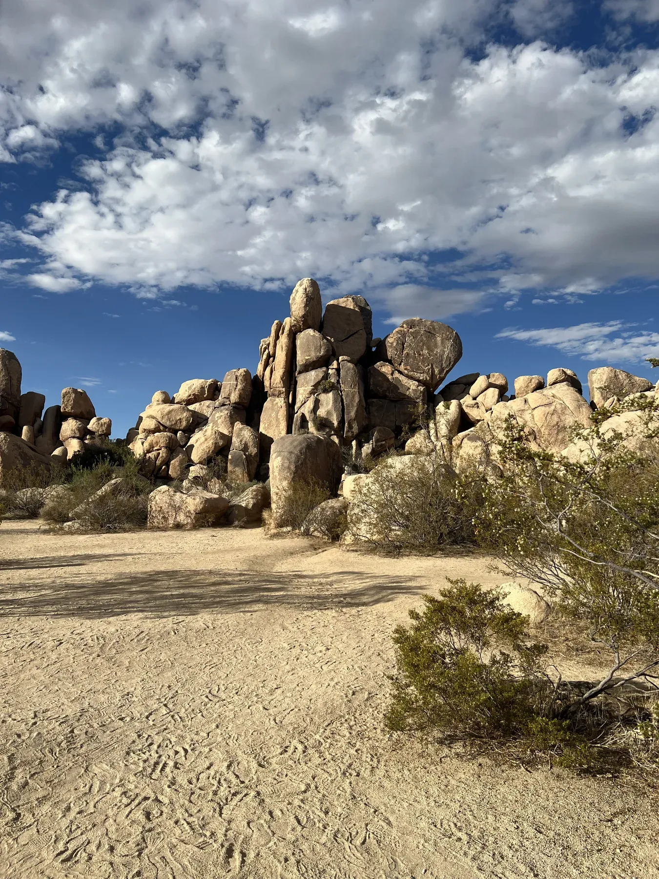 Joshua Tree Park