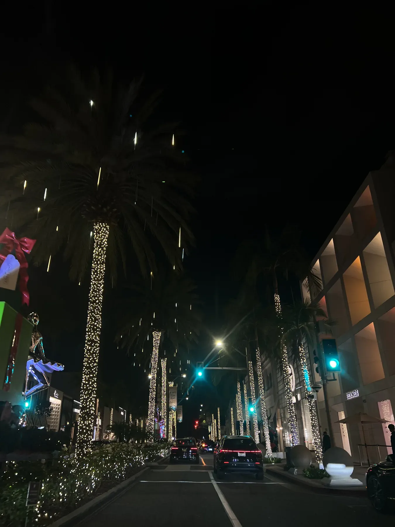 Rodeo drive view